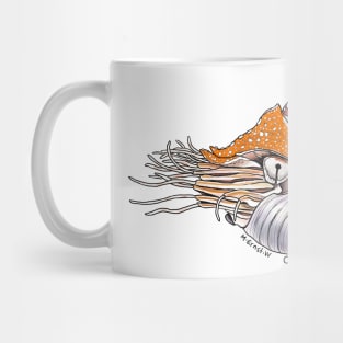 Chambered Nautilus - white Mug